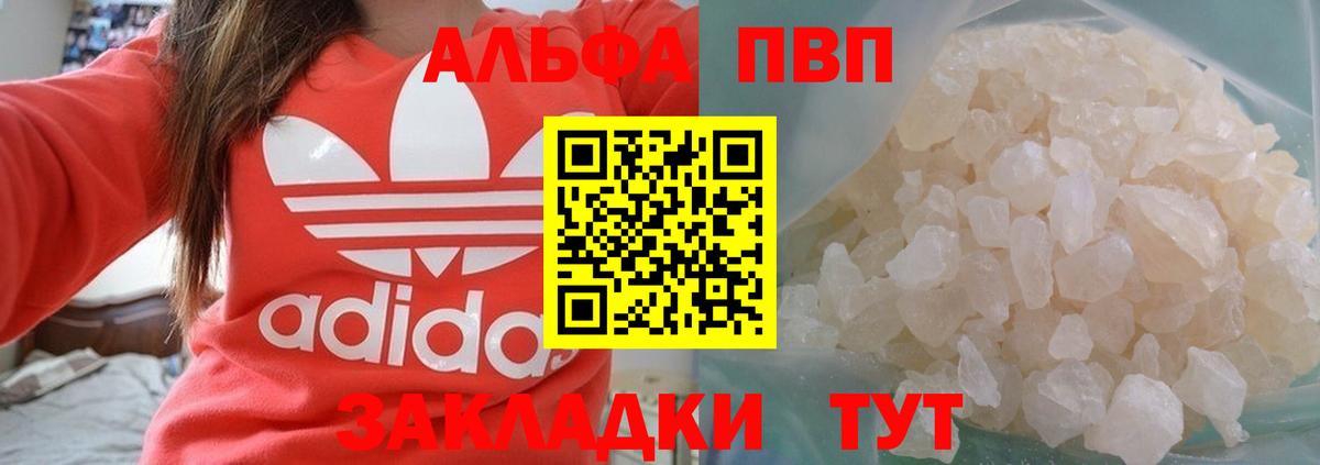 Альфа ПВП СК КРИС Калининград